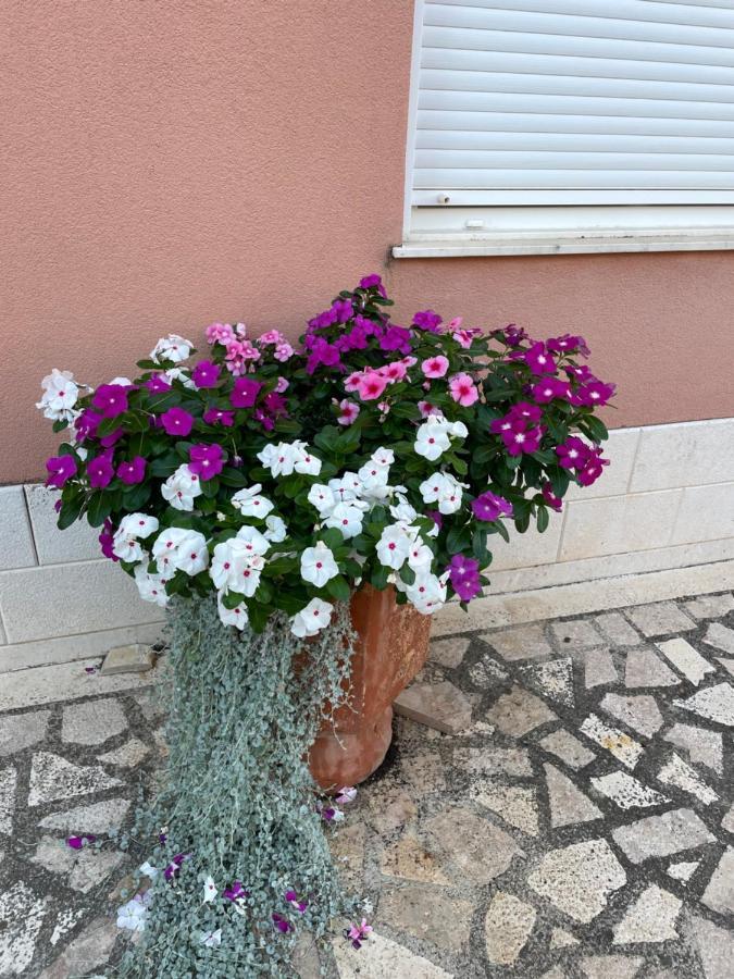 Apartman Jukic Hotel Marina Exterior foto